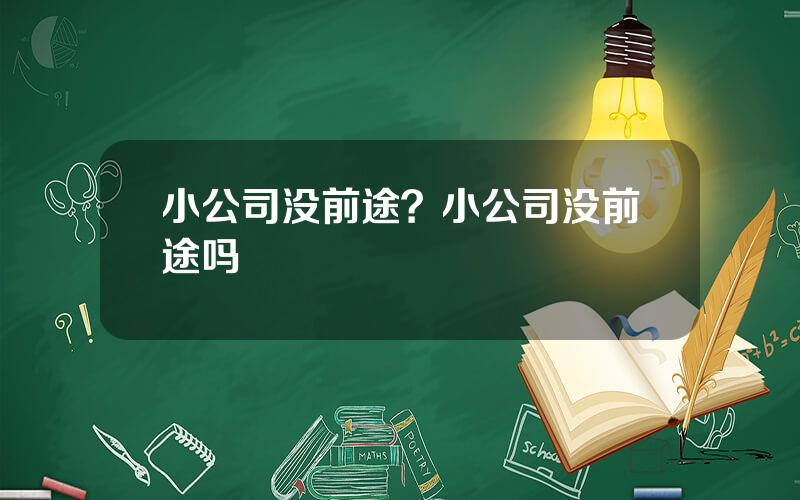 小公司没前途？小公司没前途吗