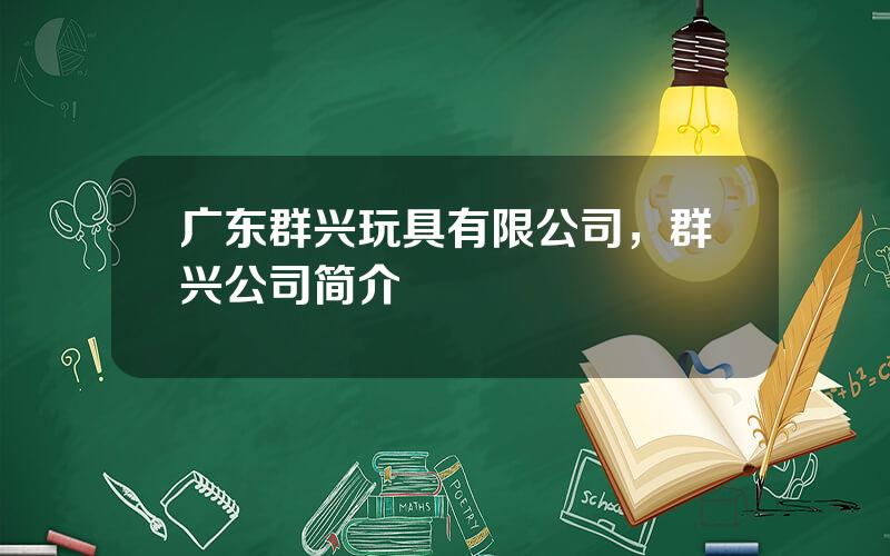 广东群兴玩具有限公司，群兴公司简介