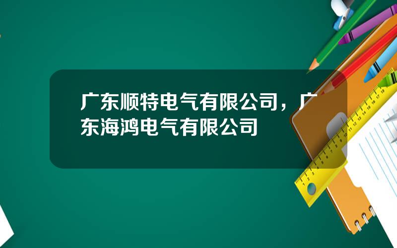 广东顺特电气有限公司，广东海鸿电气有限公司