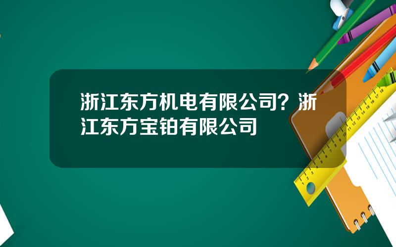 浙江东方机电有限公司？浙江东方宝铂有限公司