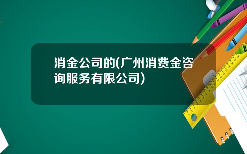 消金公司的(广州消费金咨询服务有限公司)