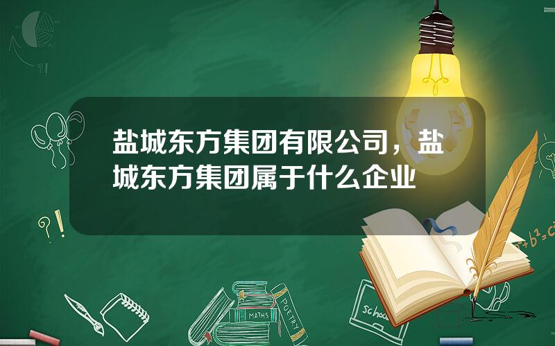 盐城东方集团有限公司，盐城东方集团属于什么企业