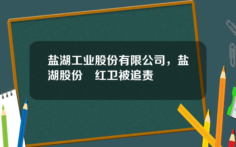 盐湖工业股份有限公司，盐湖股份贠红卫被追责