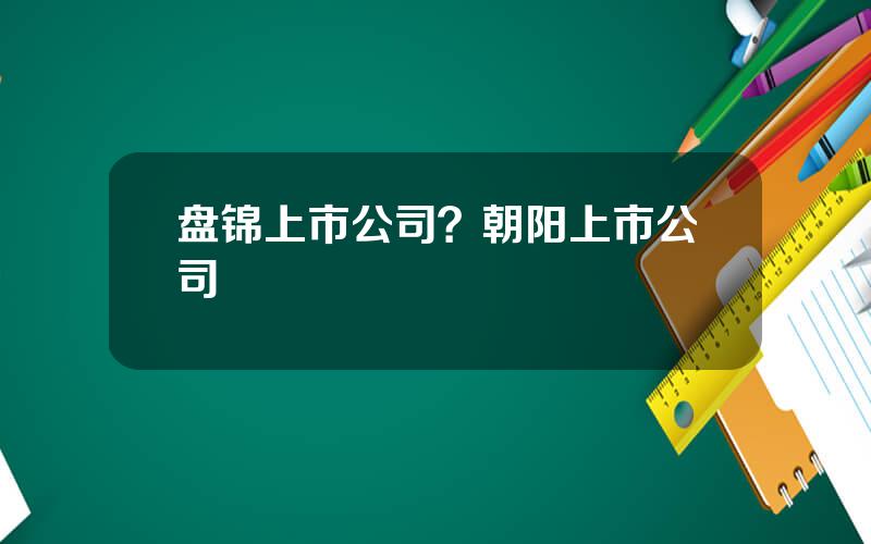 盘锦上市公司？朝阳上市公司