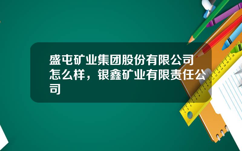 盛屯矿业集团股份有限公司怎么样，银鑫矿业有限责任公司